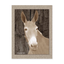 Golden Beauty postcards by StarLily Golden Beauty postcards