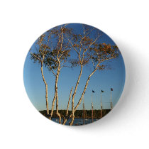 Golden Birch with ship Buttons