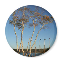 Golden Birch with ship Fridge Magnet
