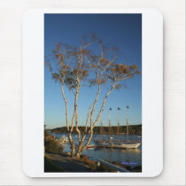 Golden Birch with ship Mouse Pads