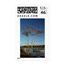 Golden Birch with ship Postage Stamp