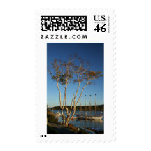 Golden Birch with ship Postage Stamp