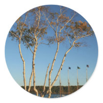 Golden Birch with ship Stickers