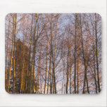 Golden Birches Mousepads