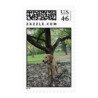 Golden Blossoms Postage Stamps stamp