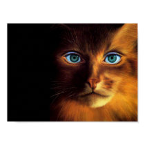 Golden Blue Eyed Cat Print