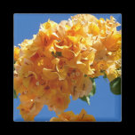 Golden Bougainvillea Magnet