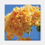 Golden Bougainvillea Magnet
