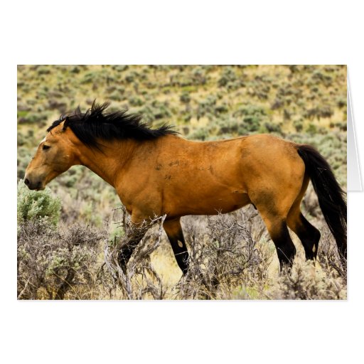 Golden Boy Greeting Card
