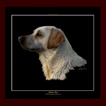GOLDEN BOY (Lab\Retriever) Art Poster posters by RavenSpiritPrints GOLDEN BOY (Lab\Retriever) Art Poster posters
