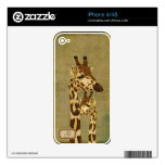 Golden Bronze Giraffes Monogram Skin Decals For The iPhone 4