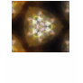 Golden Brown Glow Kaleido...