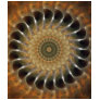 Golden Brown Glow Kaleido...