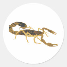 Golden Brown Scorpion Stickers