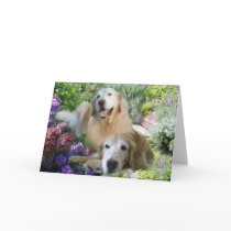 Golden Buddies Card