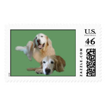 Golden Buddies Postage Stamp by normagolden Golden Buddies Postage Stamp