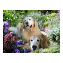 Golden Buddies Poster posters by normagolden Golden Buddies Poster posters