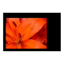 Golden Bug & Orange Flower posters by esjessi Golden Bug & Orange Flower posters