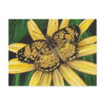 Golden Butterfly Postcard