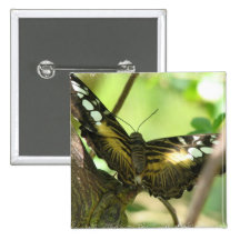 Golden Butterfly Square Pin