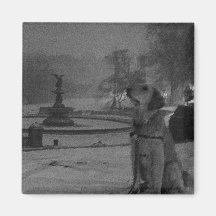 Golden by Bethesda Fountain-Central Park Magnet