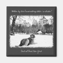 Golden by Conservatory Water-Central Park Magnet