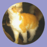Golden Cat stickers