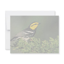 Golden-Cheeked Warbler invitations by animalpark Golden-Cheeked Warbler invitations