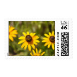 Golden Coneflowers Postage