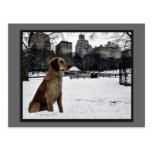Golden-Conservatory Water-Central Park Postcard