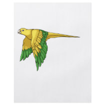 Golden Conure Products Custom Flyer