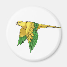 Golden Conure Products Magnets