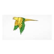 Golden Conure Products photo cards