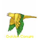 Golden Conure Products t-shirts