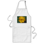 Golden Cosmos aprons