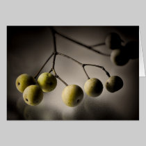 Golden Crabapples on Glass cards