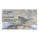 Golden-crowned sparrow business cards