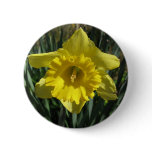 Golden Daffodil Buttons