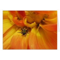 Golden Dahlia with Beetle Card