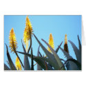 Golden Days. cards by moxieann Golden Days. cards