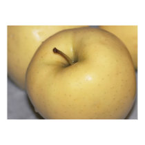 Golden Delicious Apple on Canvas Print by photosoncanvas Golden Delicious Apple on Canvas Print