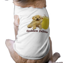 Golden Delicious Pet Clothing