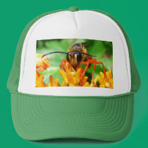 Golden Digger ~ hat hats