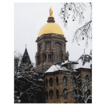 Golden Dome in the Snow flyers