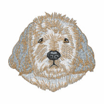 Golden Doodle