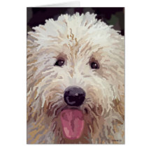 Golden Doodle Look Cards