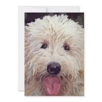 Golden Doodle Look Cards Custom Invitation