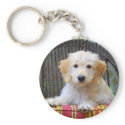Golden Doodle Puppy Keychain