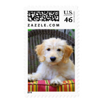 Golden Doodle Puppy postage by catherinesherman Golden Doodle Puppy postage