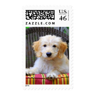goldendoodle puppy. Golden Doodle Puppy Stamps by